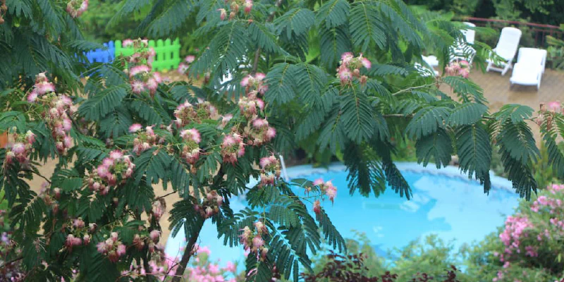 «Супериор» с лоджией